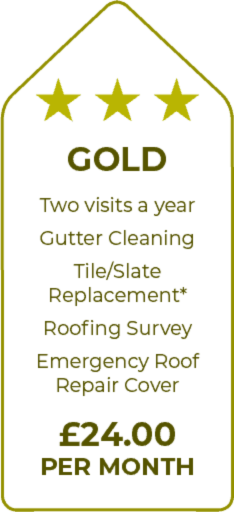 Professional roofing service contracts offered by Ryton Roofers in Ryton and Gateshead, showcasing a team inspecting a roof.