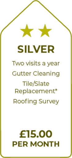 Professional roofing service contracts offered by Ryton Roofers in Ryton and Gateshead, showcasing a team inspecting a roof.