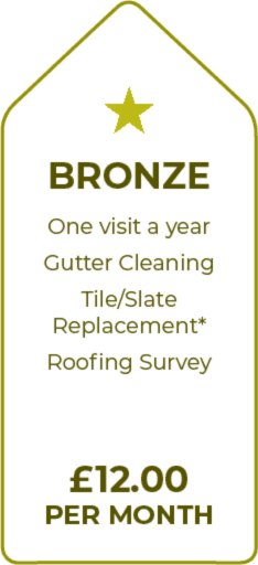 Professional roofing service contracts offered by Ryton Roofers in Ryton and Gateshead, showcasing a team inspecting a roof.