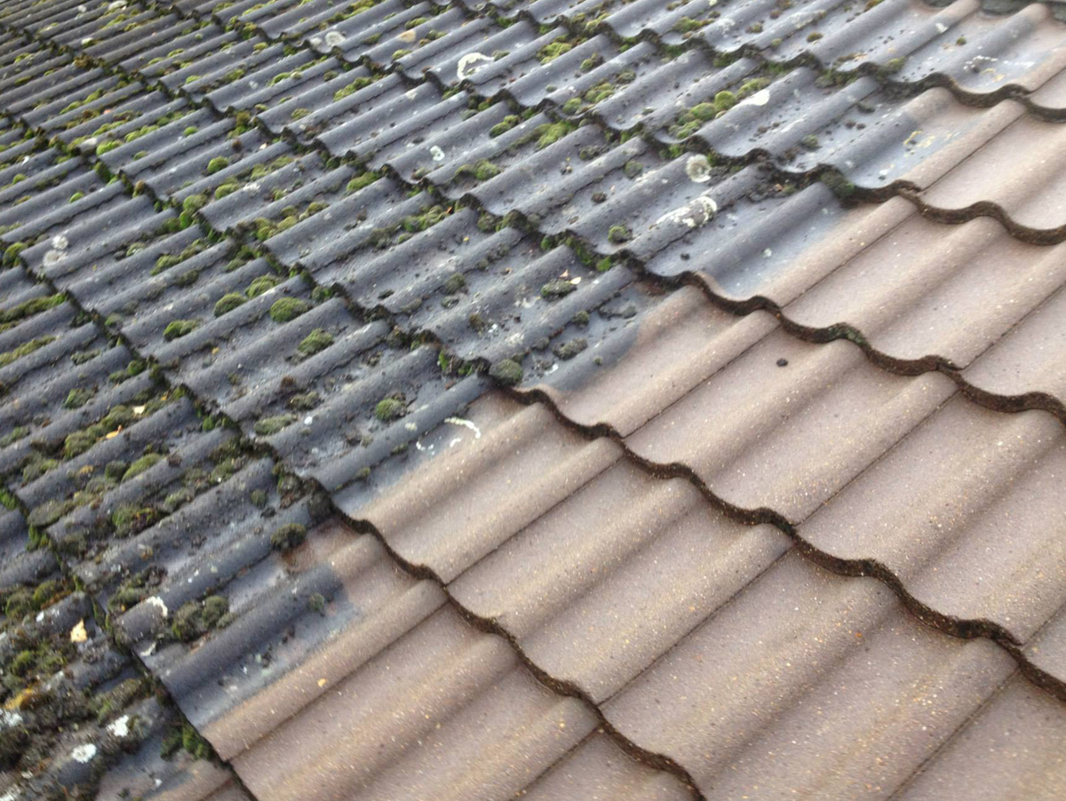 Contact Ryton Roofers for expert roofing services, showcasing a friendly team ready to assist you.